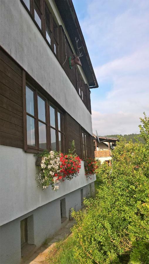 Apartman Na Polesi Destne v Orlickych horach Exterior foto